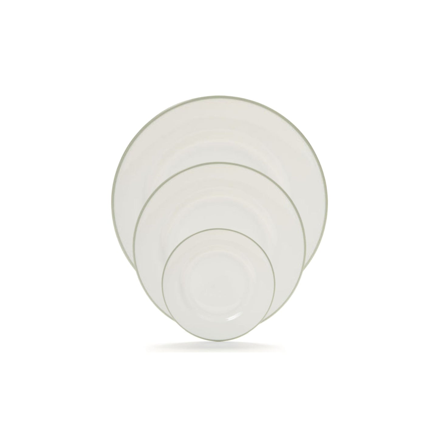 Simple Rim fine bone china dinnerware set